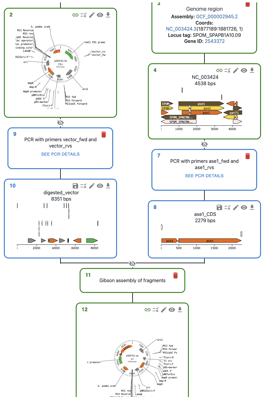 _images/sequence-intermediates-example.png